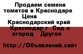 Продаем семена томатов в Краснодаре › Цена ­ 2 300 - Краснодарский край, Краснодар г. Сад и огород » Другое   